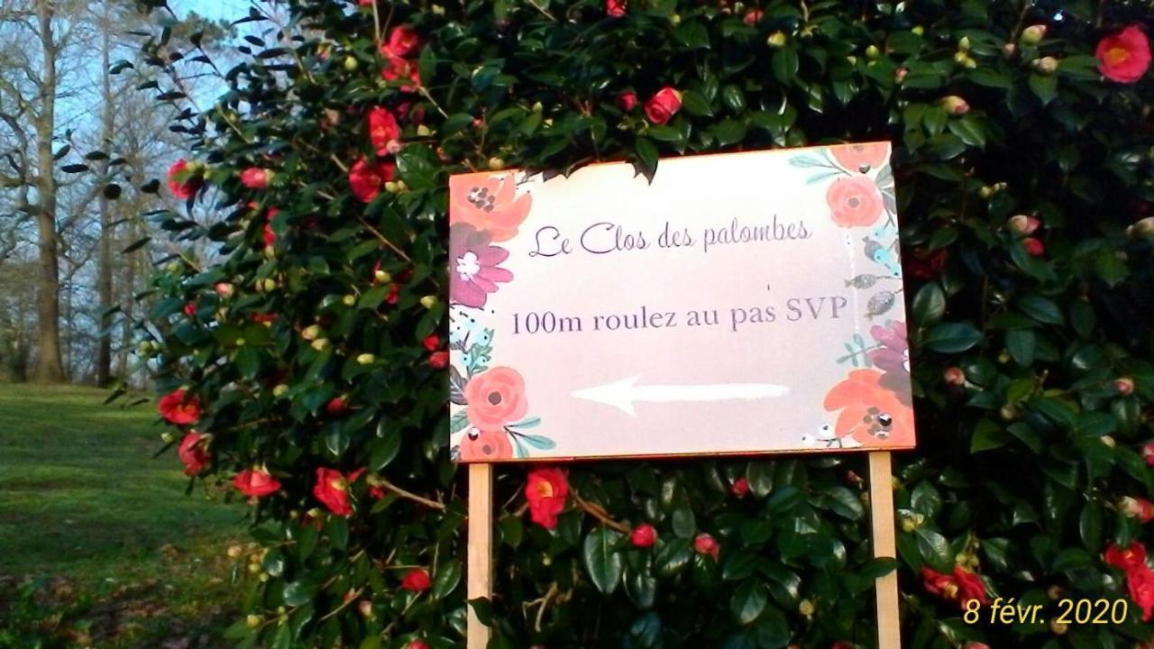 Le Clos Des Palombes Wifi Climatisation Saint-Pierre-du-Mont  Zewnętrze zdjęcie