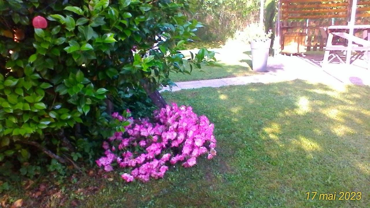 Le Clos Des Palombes Wifi Climatisation Saint-Pierre-du-Mont  Zewnętrze zdjęcie