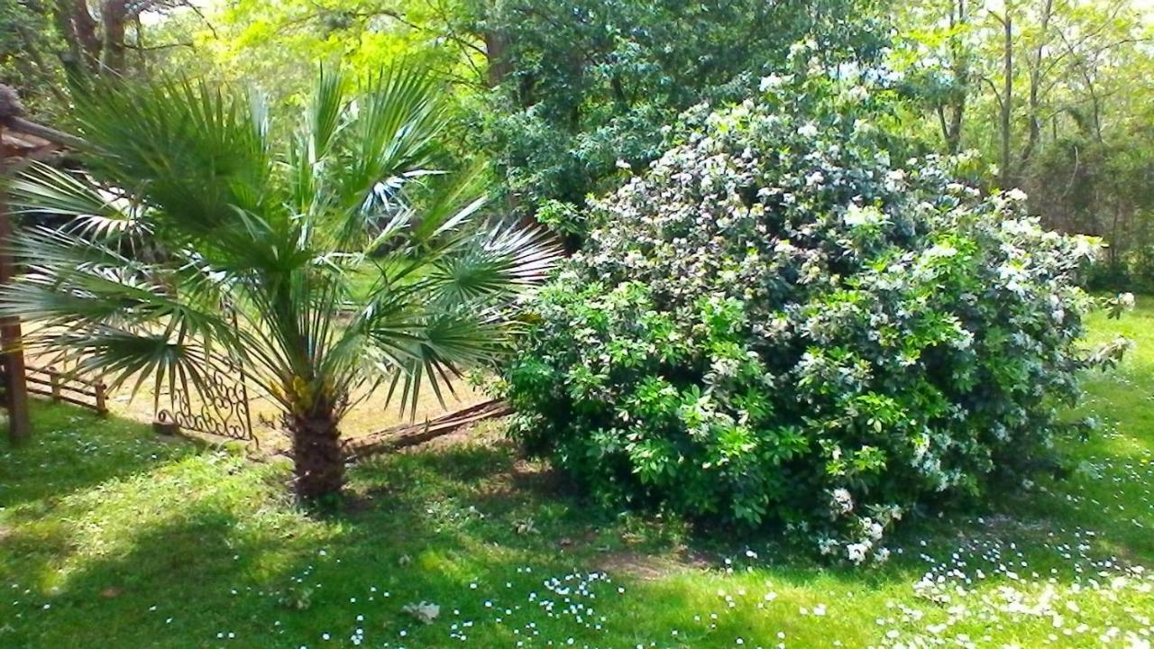 Le Clos Des Palombes Wifi Climatisation Saint-Pierre-du-Mont  Zewnętrze zdjęcie